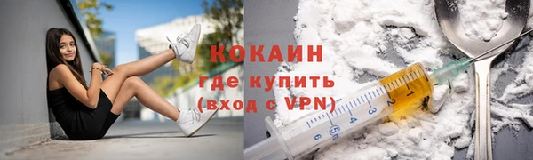 спайс Богданович
