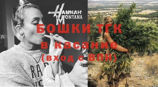 спайс Богданович