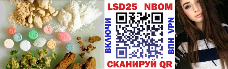 Купить закладки  Новоалександровск  Лсд 25 экстази ecstasy 