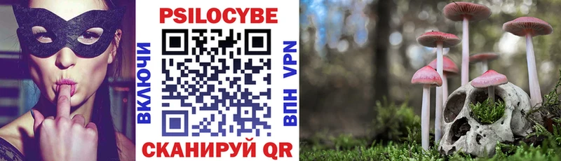 Купить  Новоалександровск  Галлюциногенные грибы мухоморы 